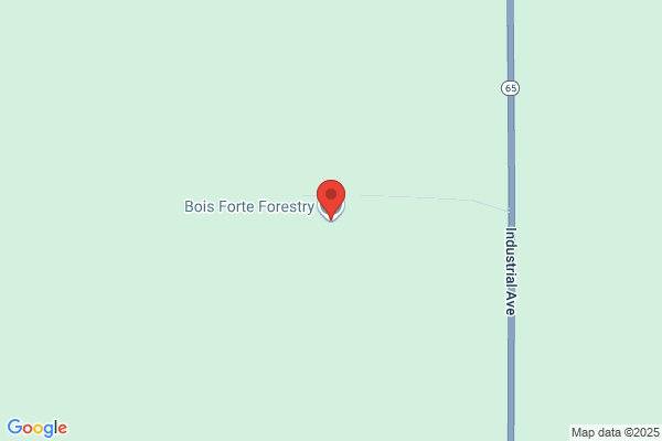 Bois Forte Native Arts & Crafts