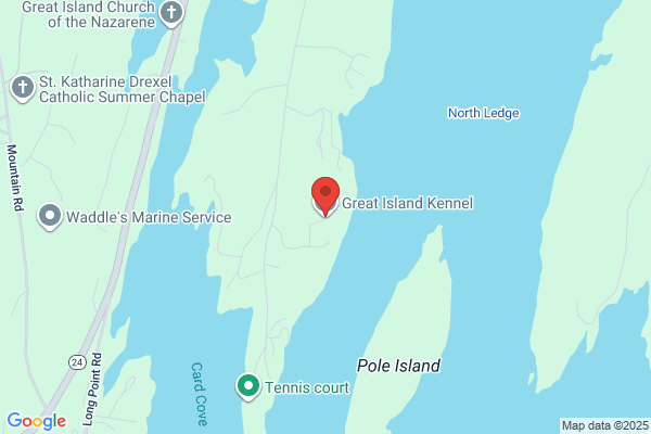 Great Island Kennel