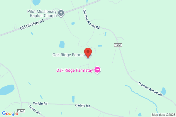 Oak Ridge Farm Fast Stop