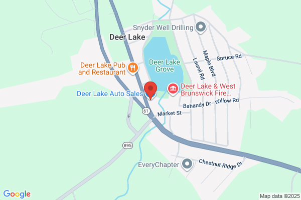 Deer Lake Auto Sales Inc