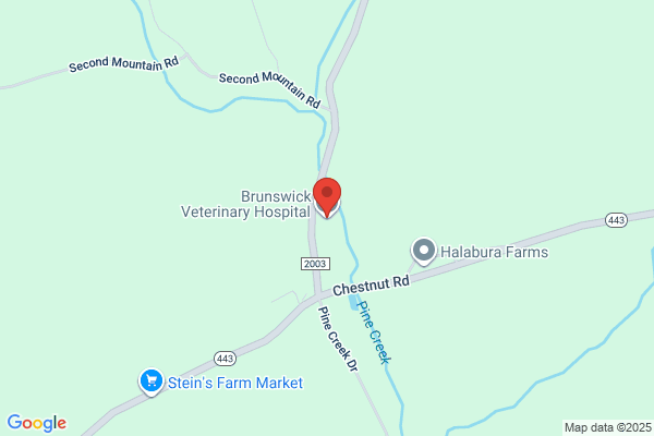 Brunswick Veterinary Hospital