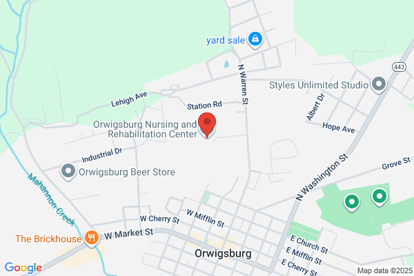Orwigsburg Center