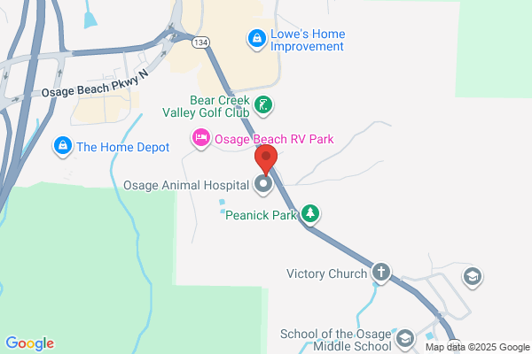 Last Dance