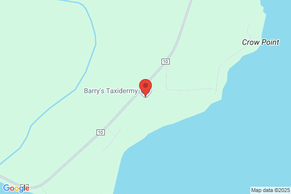 Barrys Taxidermy