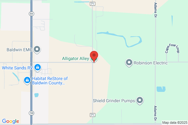 Alligator Alley