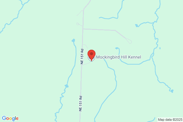 Mockingbird Hill Kennel