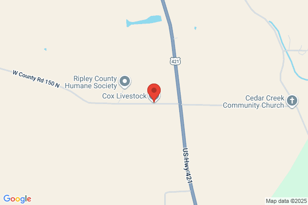 Cox Livestock