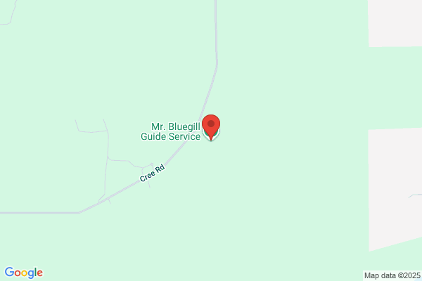 Mr Bluegill Guide Service