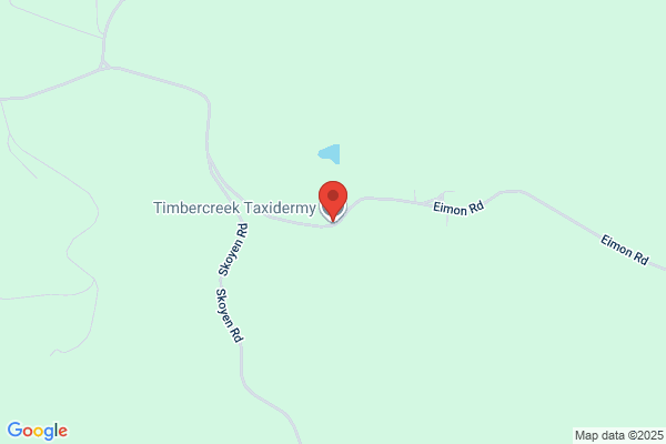 Timbercreek Taxidermy