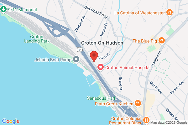 Hudson View Automotive Inc