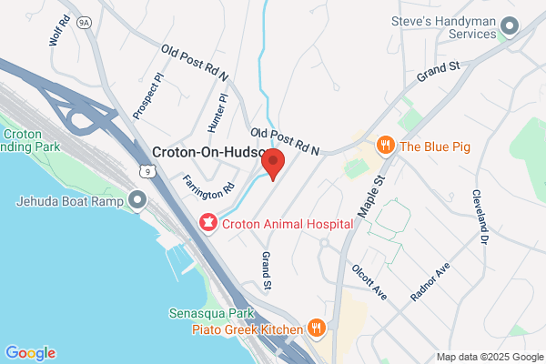 Croton Community Nursery School