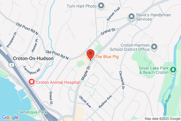The Blue Pig