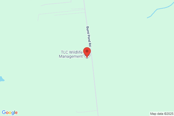 TLC Wildlife Management