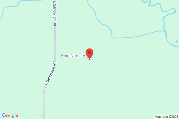 King Nursery
