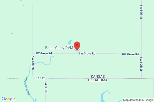 Bates Corey DVM