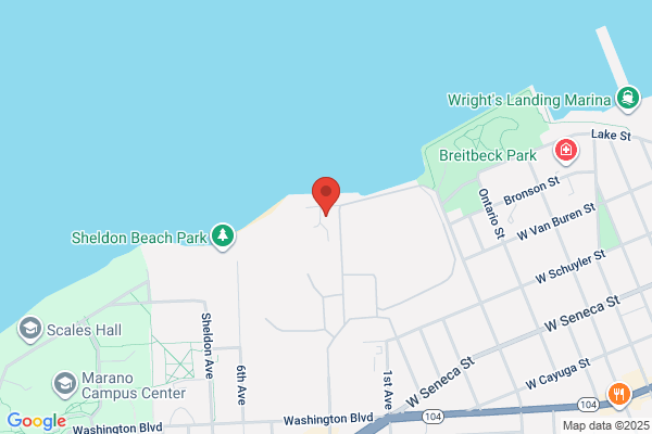 Oswego Harbor Power Llc