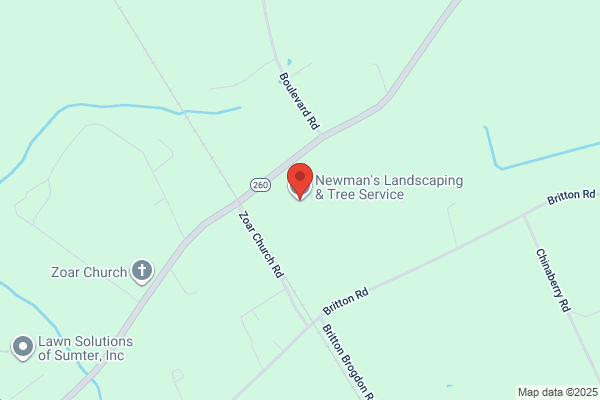 Newman's Tree Service