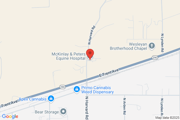 McKinlay & Peters Equine Hospital