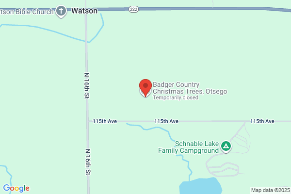 Badger Evergreen
