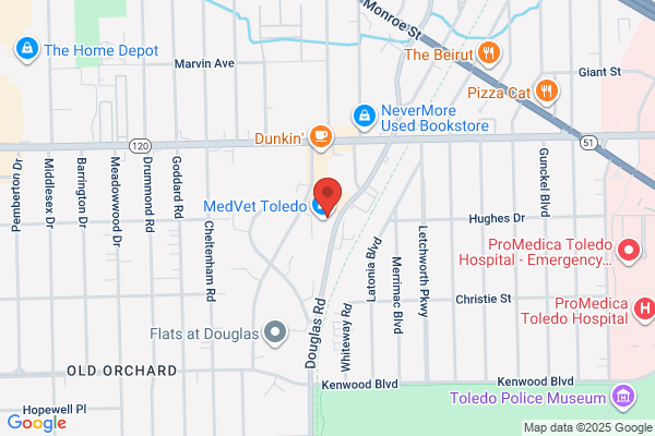 Animal Emergency and Critical Care Center of Toledo Inc