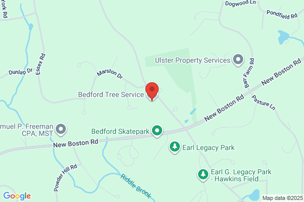 Bedford Tree Service