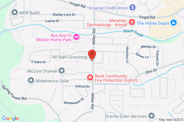 All Starr Dog Grooming