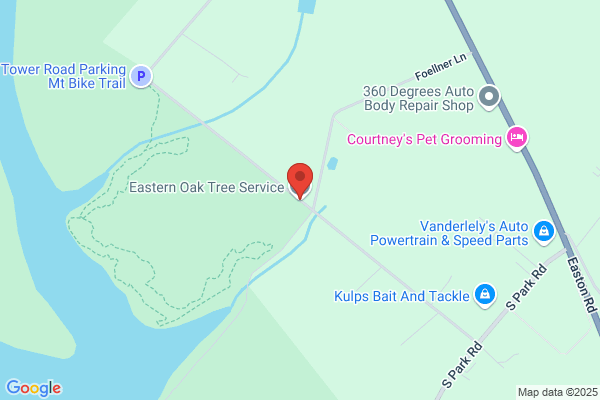 Eastern Oak Tree Service