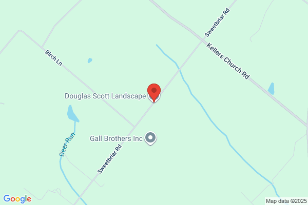 Douglas Scott Landscape