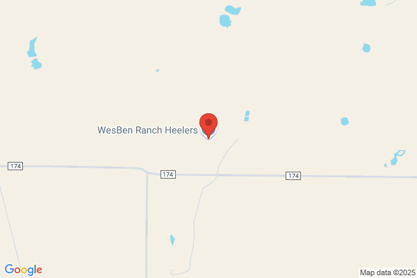 Western Hills Ranch
