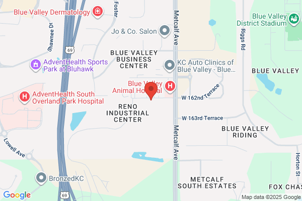 Pediatric Connections OT