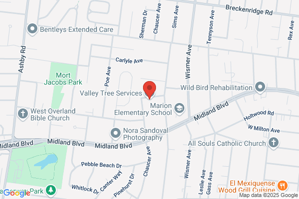 Top Tree Service