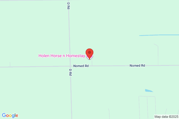 Holen Horse n Homestay, LLC