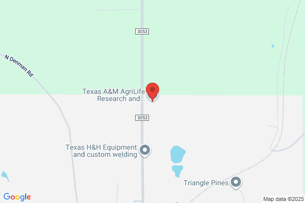 Texas A & M University