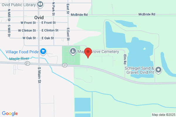 Ovid Elsie Primary Care