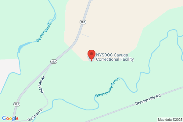 New York State Department of Correctional Services