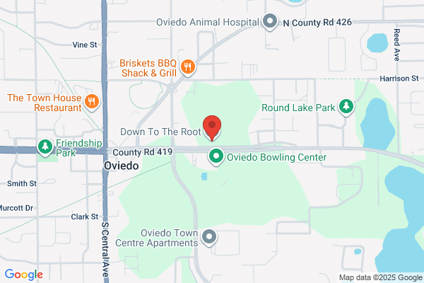 Box Drop Mattress Direct Orlando