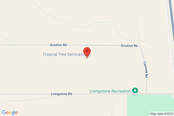 Tropical Tree Service