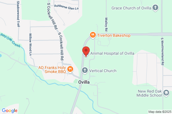 Animal Hospital of Ovilla