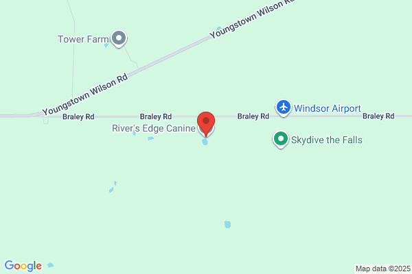 Riveredge Kennels & Grooming