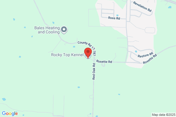 Rocky Top Pet Grooming & Boarding