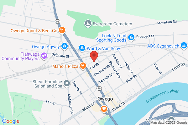 NAPA Auto Parts - Owego Auto Parts