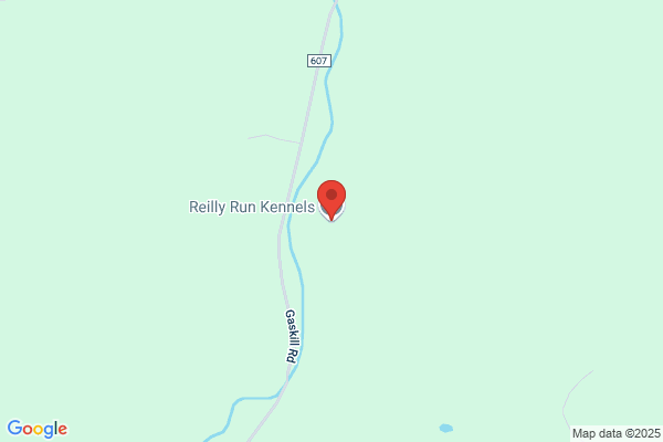 Reilly Run Kennels