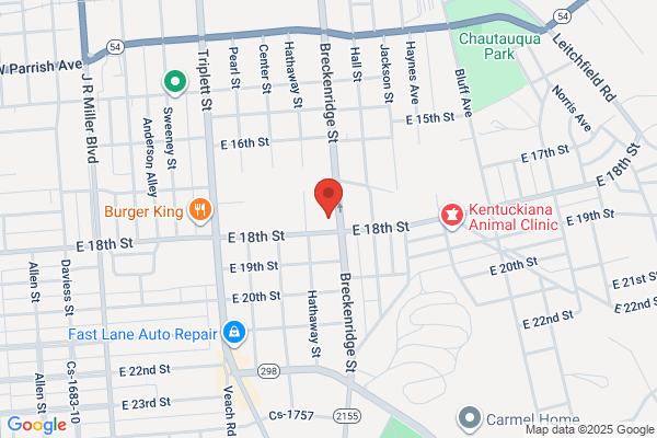 Advance Auto Parts