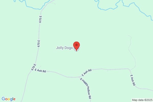 Jolly Dogs