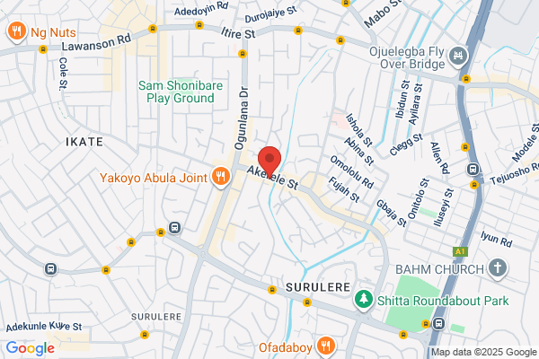 Suya Spot Nigerian Grill, Inc