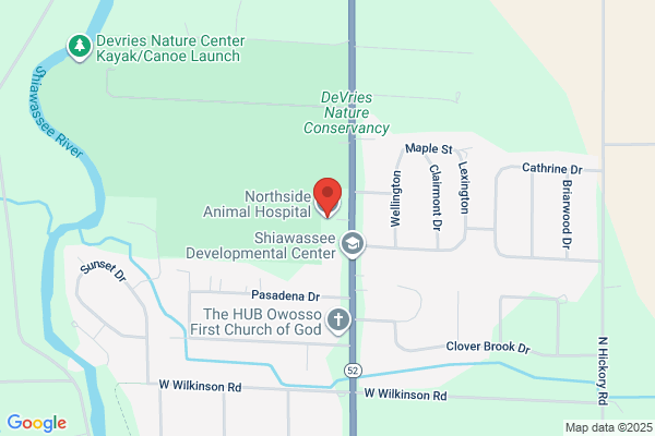 Northside Animal Hospital