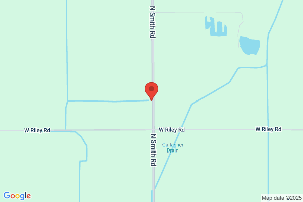 Michigan State Realty
