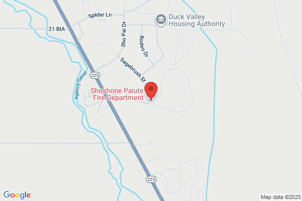 Fire Department, Owyhee