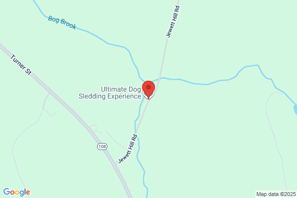 Ultimate Dog Sledding Experience