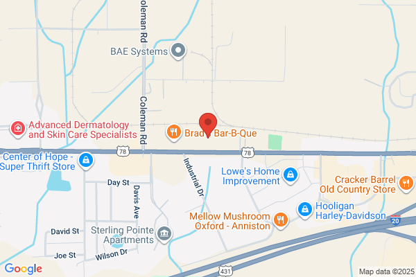 AutoZone Auto Parts